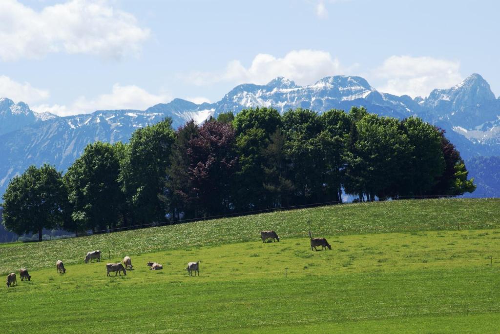 Landhaus Grobert Seeg Eksteriør bilde
